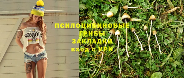 Альфа ПВП Армянск