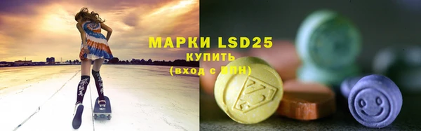 мдпв Пестово