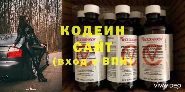 гашик Аркадак