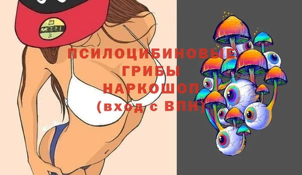 гашик Аркадак