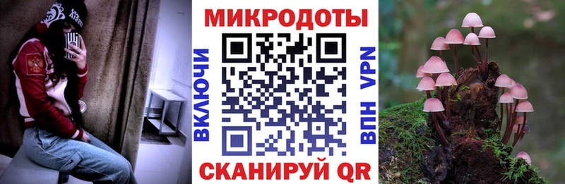 Псилоцибиновые грибы GOLDEN TEACHER Межгорье